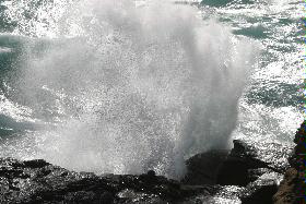 IMG_0664.jpg