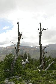 IMG_3435.JPG