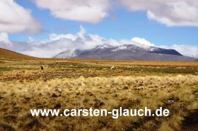 laguna colorada - Richtung Rio Grande - Carsten Glauch - fahrradtour Südamerika - Bolivien - 4.JPG