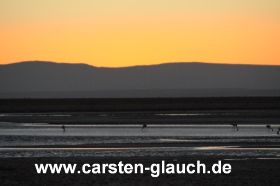 Sonnenuntergang mit Flamingo - Carsten Glauch - fahrradtour Südamerika - Bolivien - 19.JPG