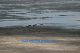 IMG_4008 #.jpg