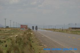IMG_4015 #.jpg