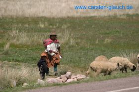 IMG_4046 #.jpg